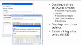 RADStudioXE & Cloud Computing (Danysoft)